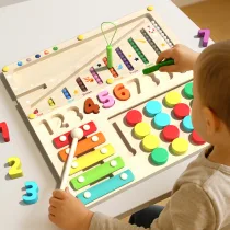 Multifunctional Development Board